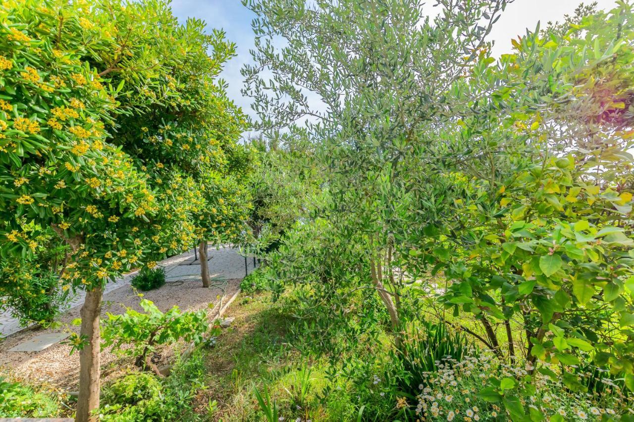 Barbat na Rabu Apartments And Rooms Bianca מראה חיצוני תמונה
